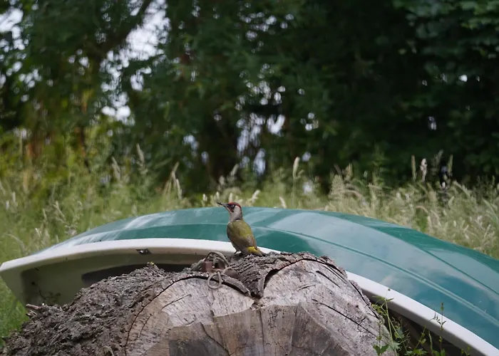 Сasa de vacaciones 78 Wronowo